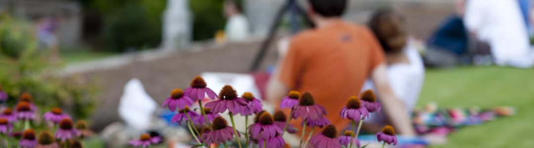 blurred background images of a student with orange shirt and the other student with a white shirt are sitting a garden with purple flowers in the foreground